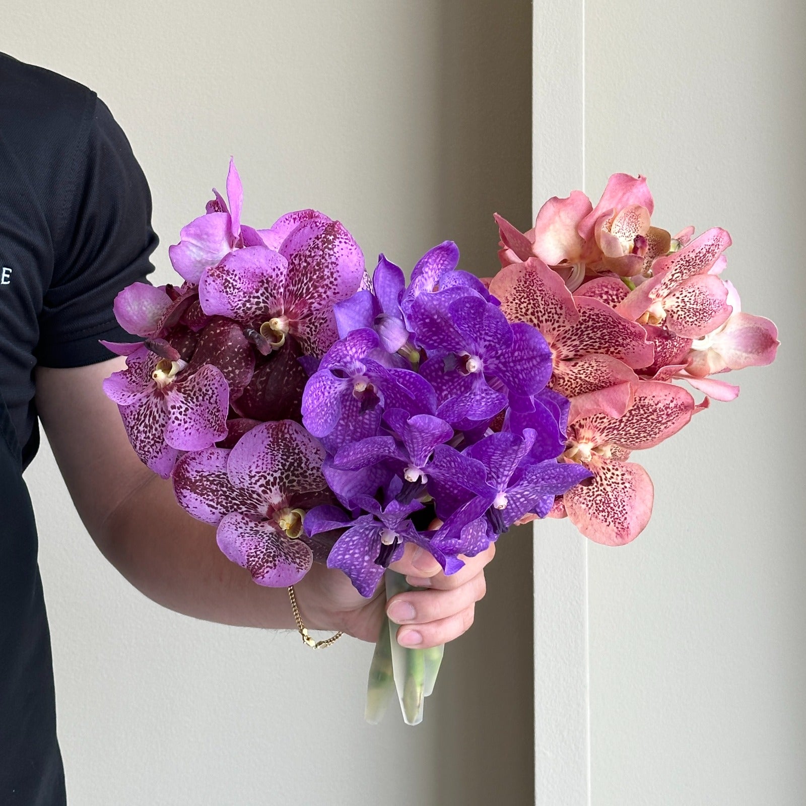 Vanda Orchids - Amethyst Mix