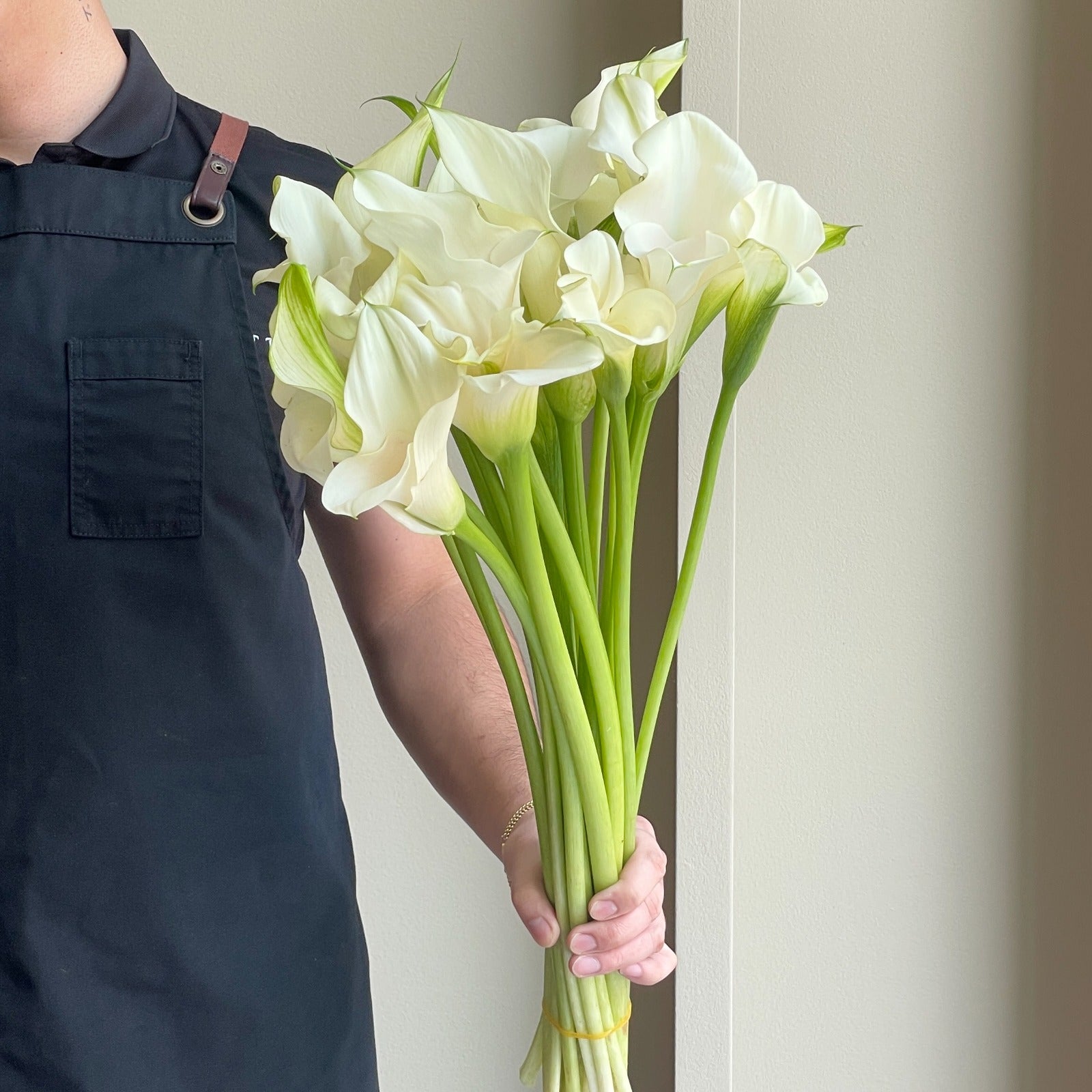 Calla Lilies - Captain Ventura