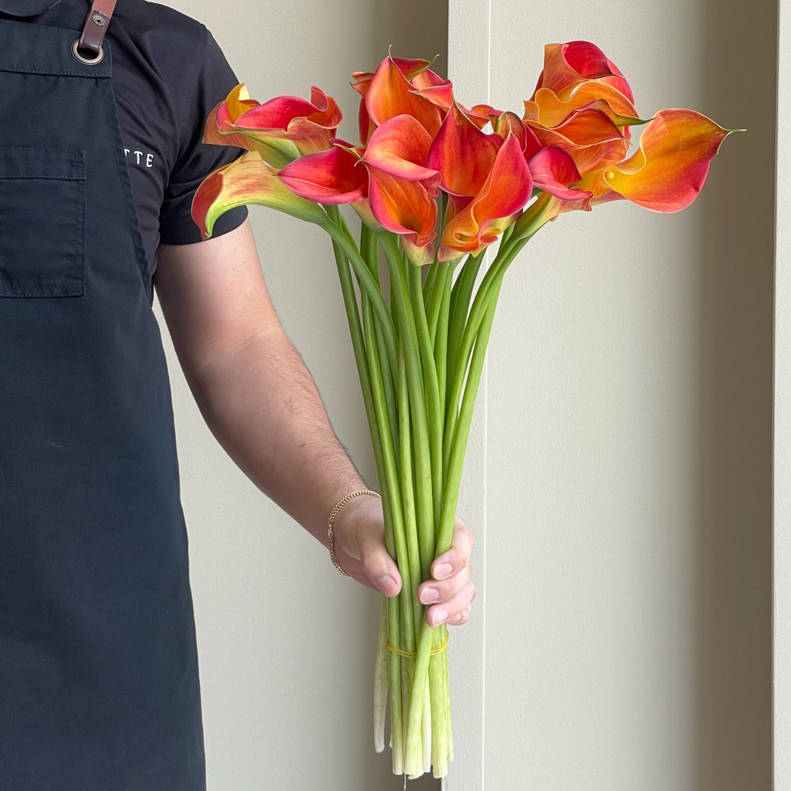 Calla Lilies - Morning Sun