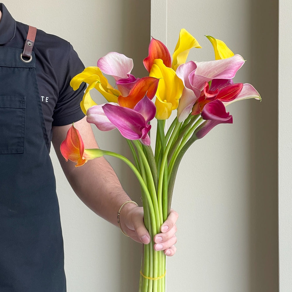 Calla Lilies - Sunshine Mix