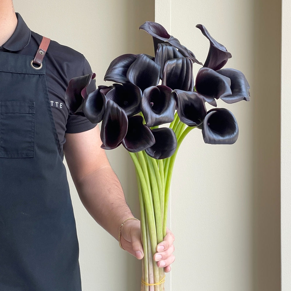 Calla Lilies - Call Ceara Black