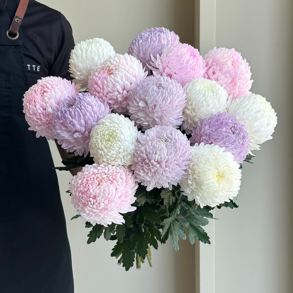 Chrysanthemum Peony - Sweet Pea Mix (15 Stem)