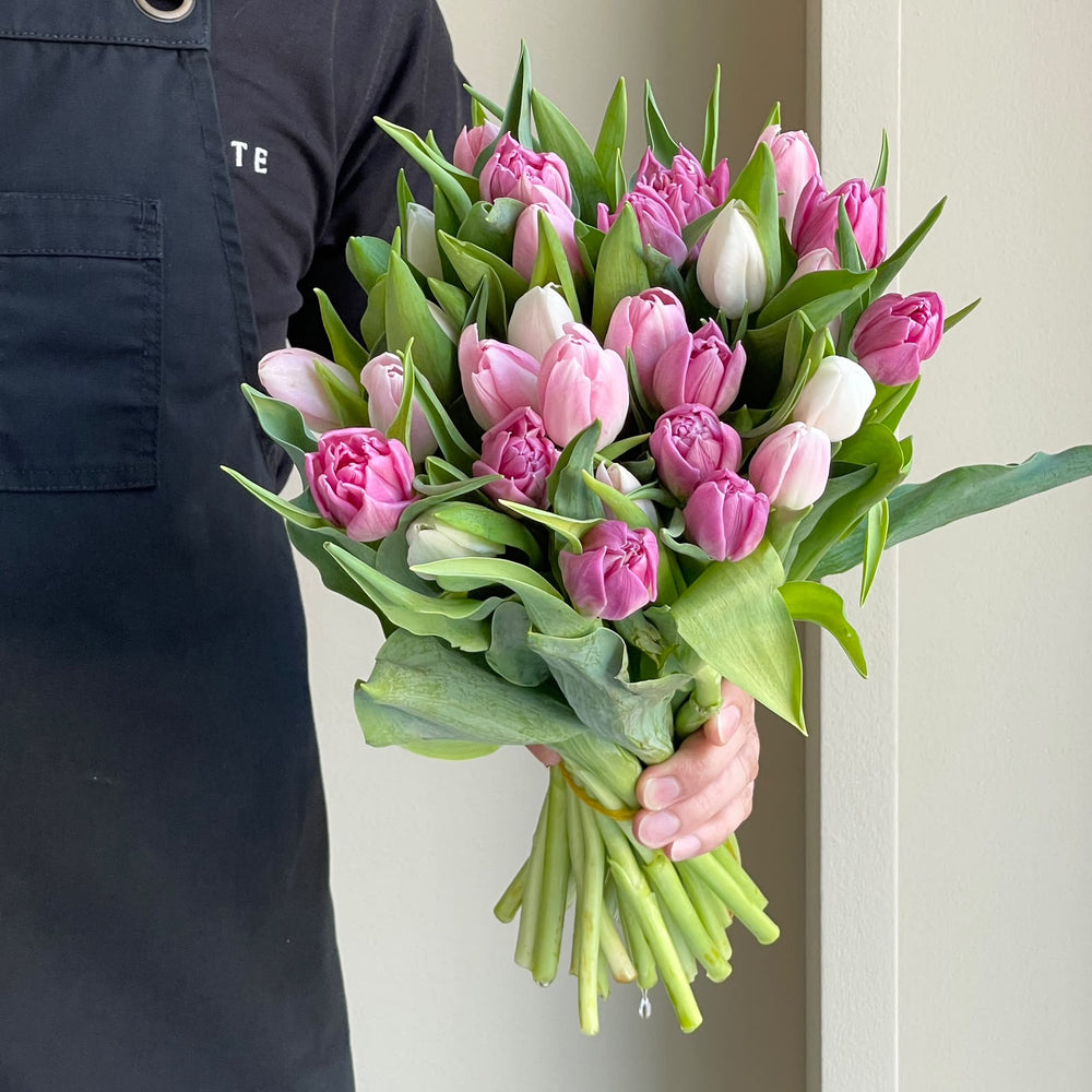 Tulips - Spring Fling Mix