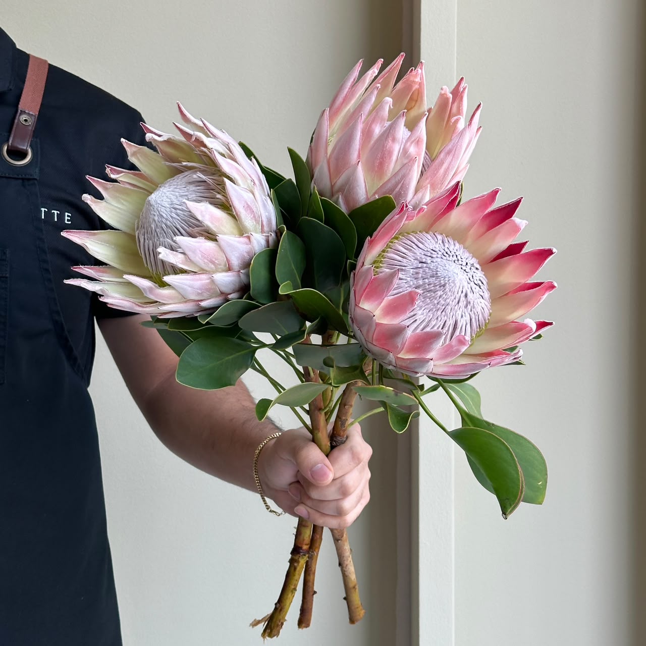 Protea Cynaroides Pink