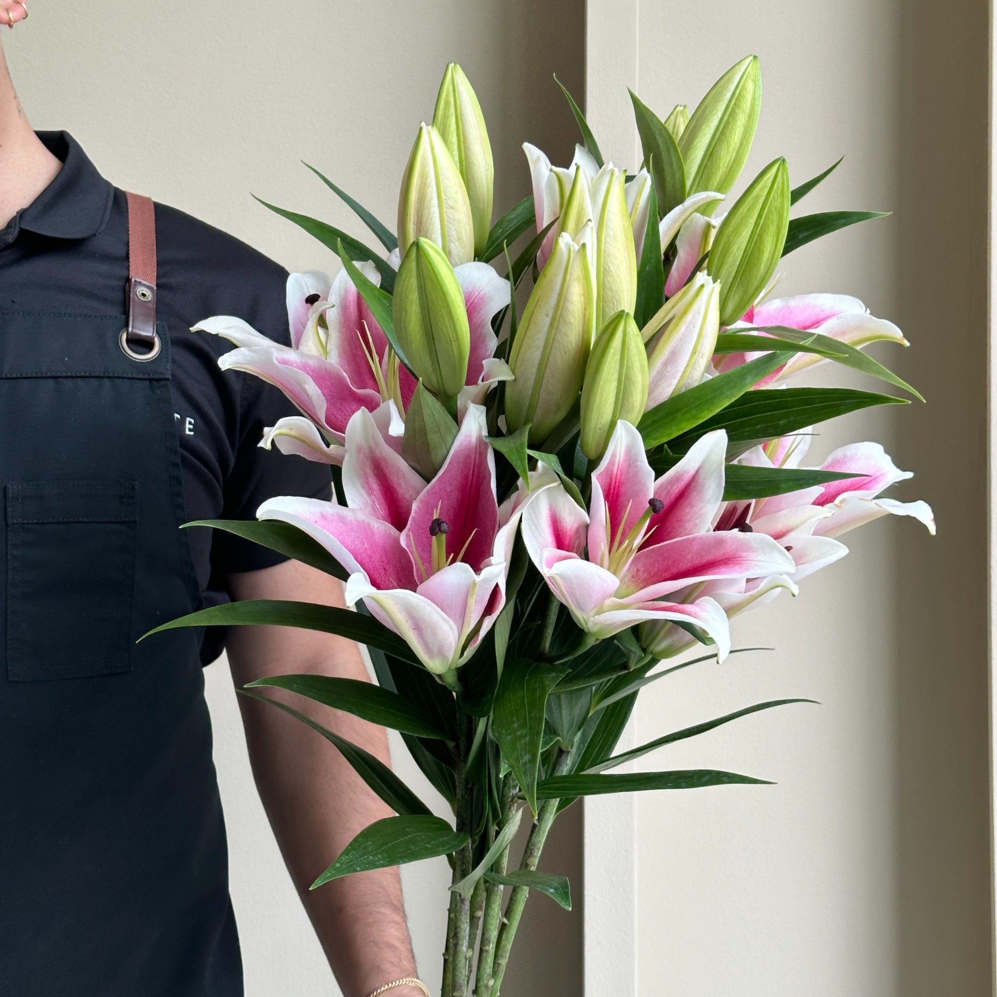 Lilies Oriental - Brancusi Pink (Beautiful Bloom)