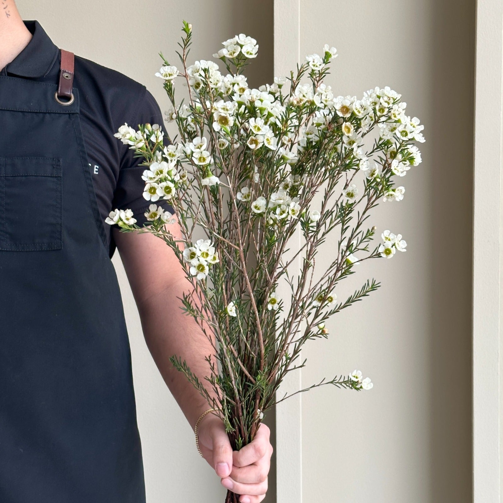 Wax Flower - Moonlight Delight White (15 stems)