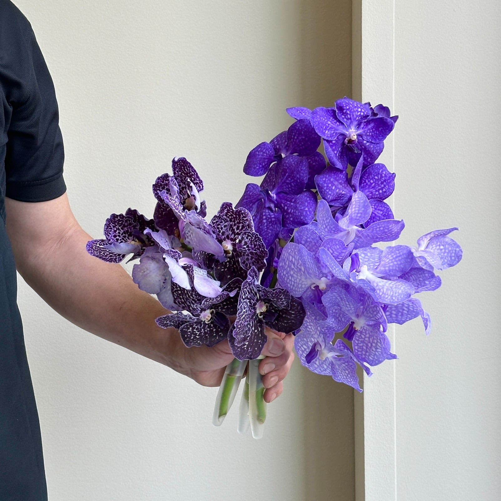 Vanda Orchids - Lavender Mix