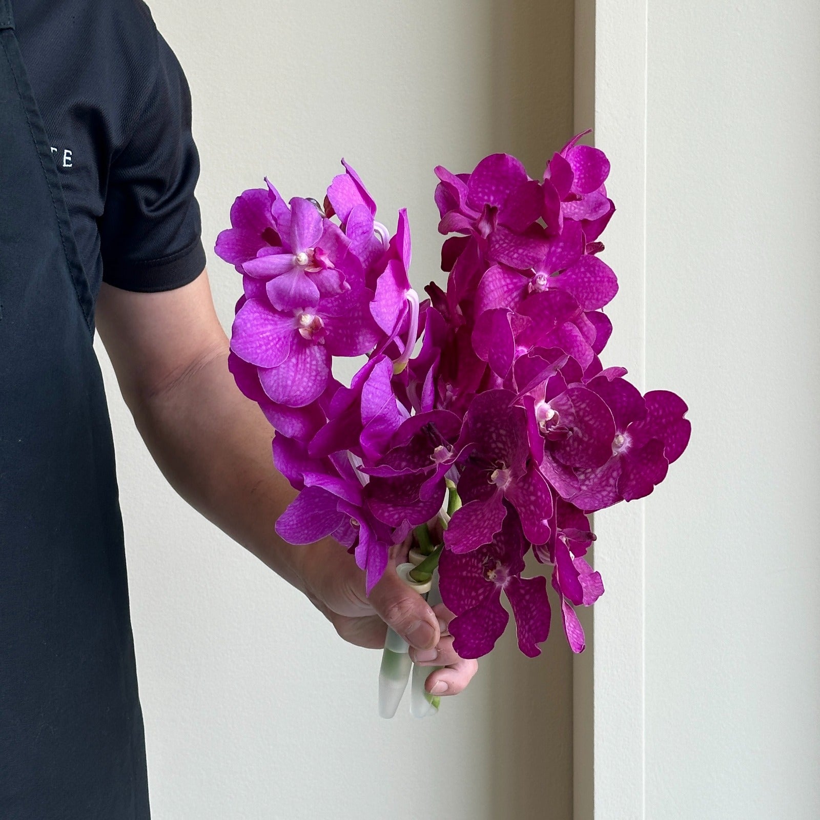 Vanda Orchids - Pink