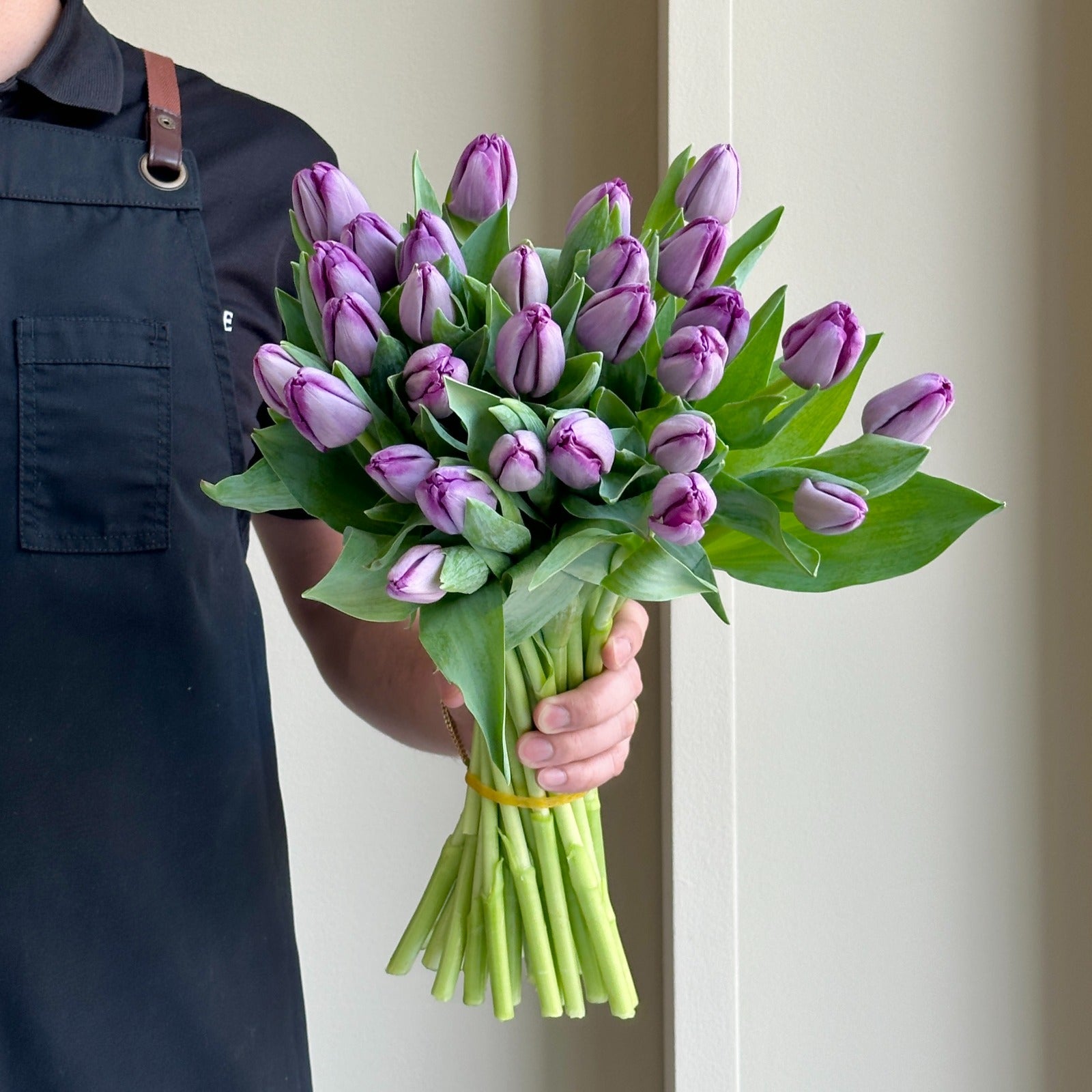 Tulips - Saigon Purple