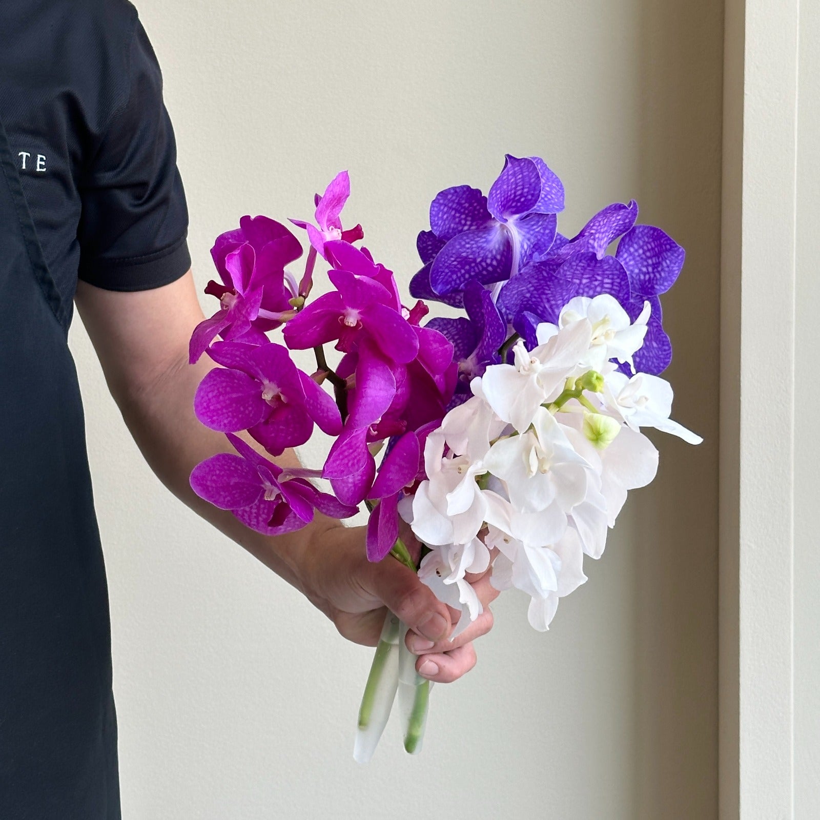 Vanda Orchids - Royal Trio Mix