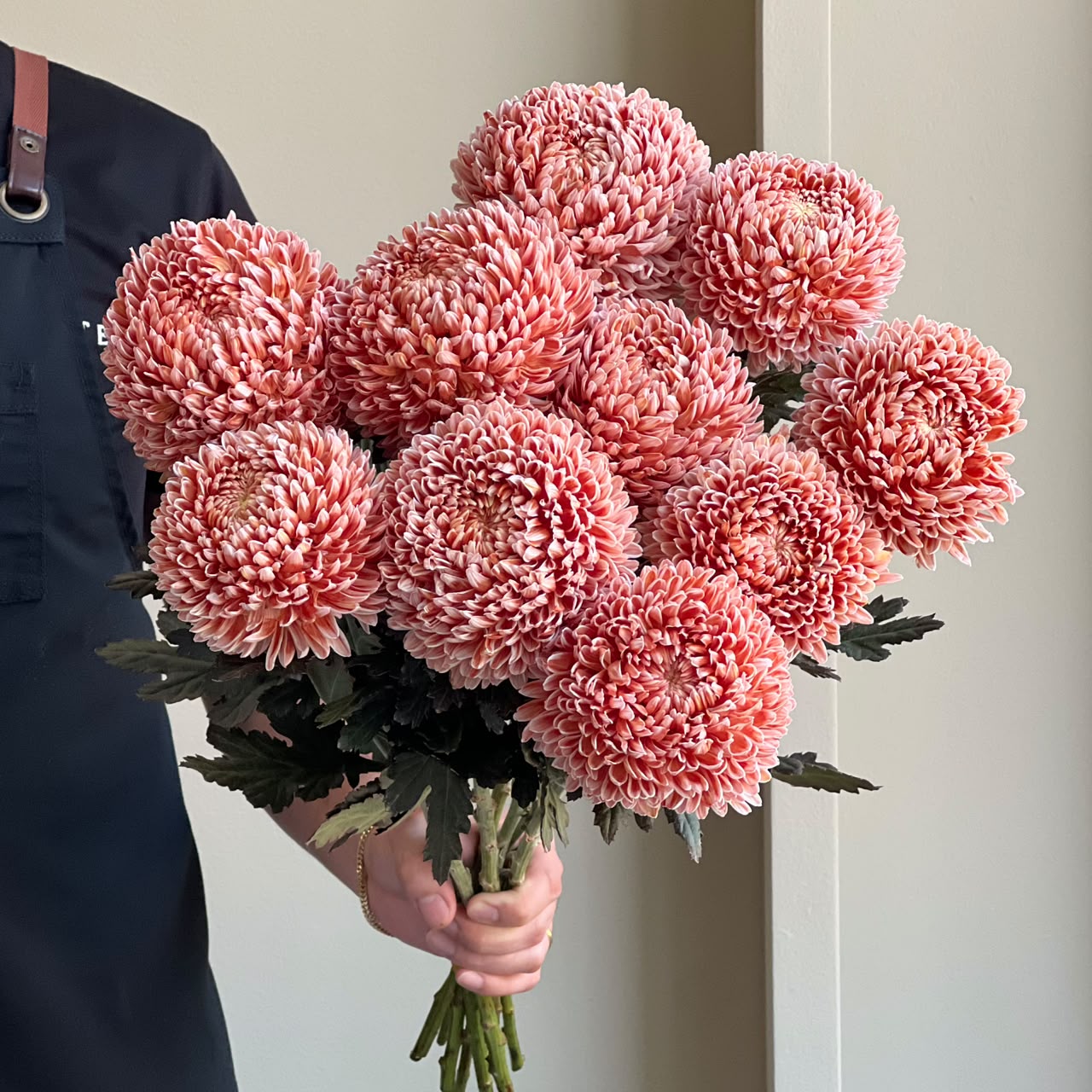 Chrysanthemum Peony - Salmon