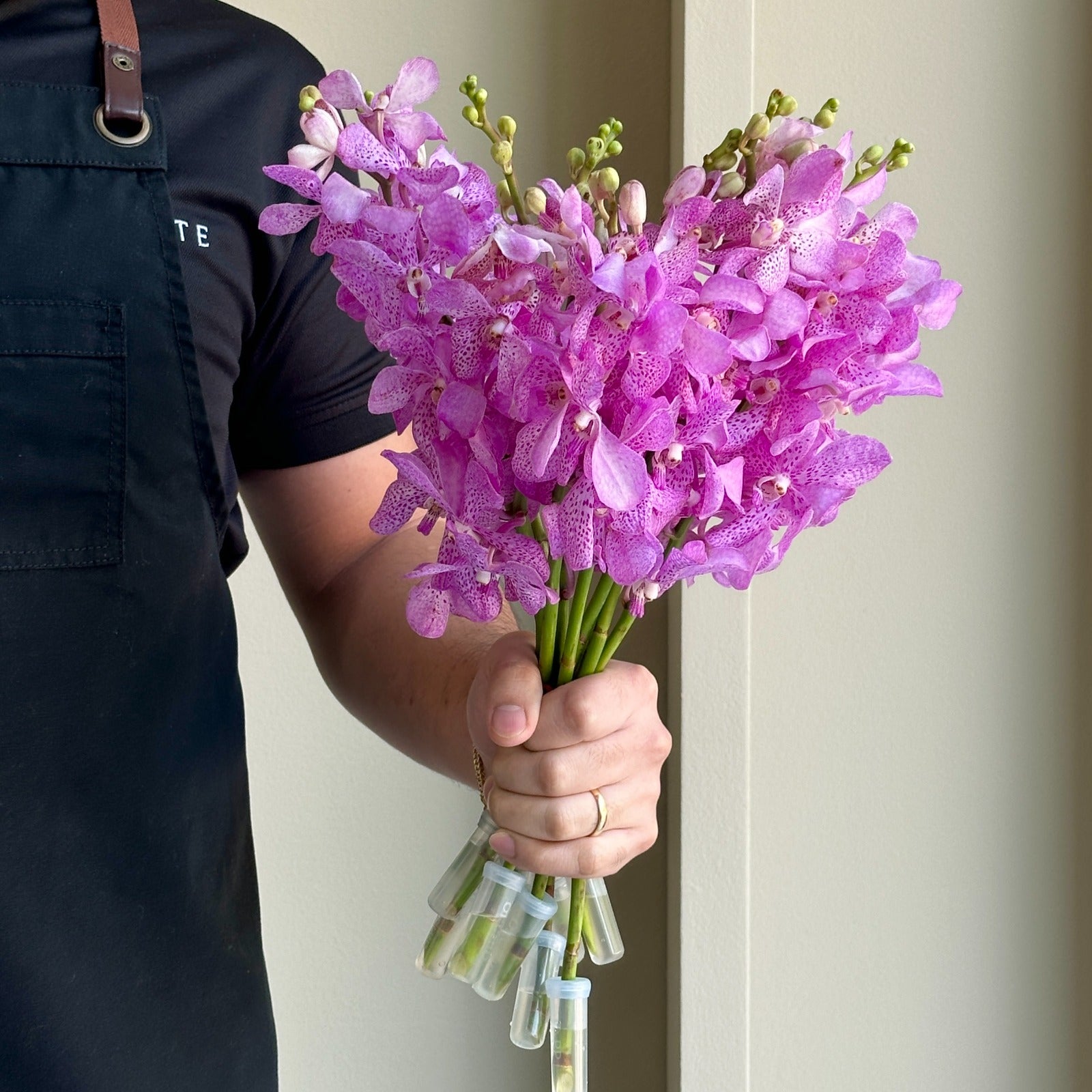 Mokara Orchids - Calypso Pink