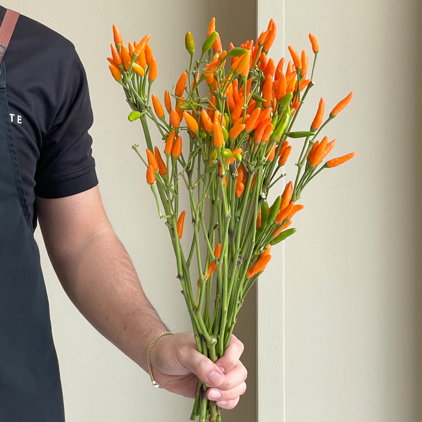 Capsicum - Sierpepers Orange (Short Stem)