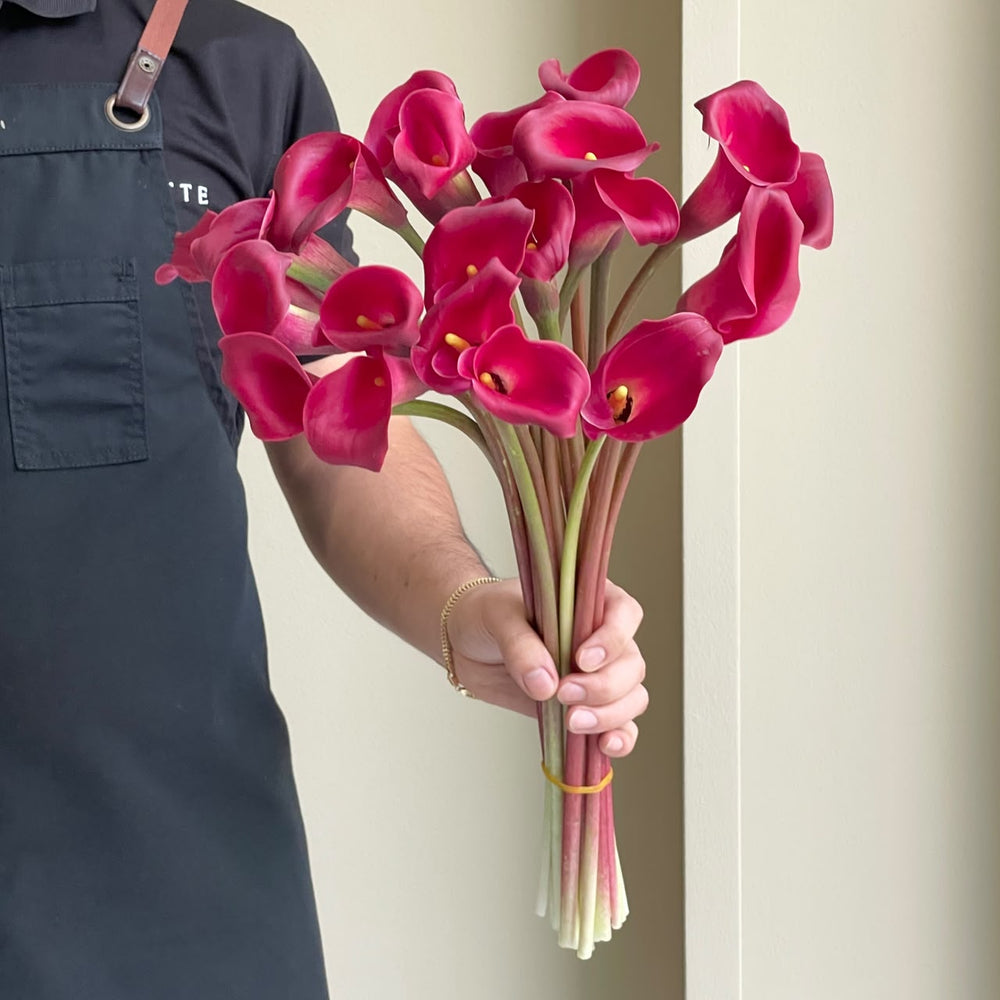 Calla Lilies - Red Charm