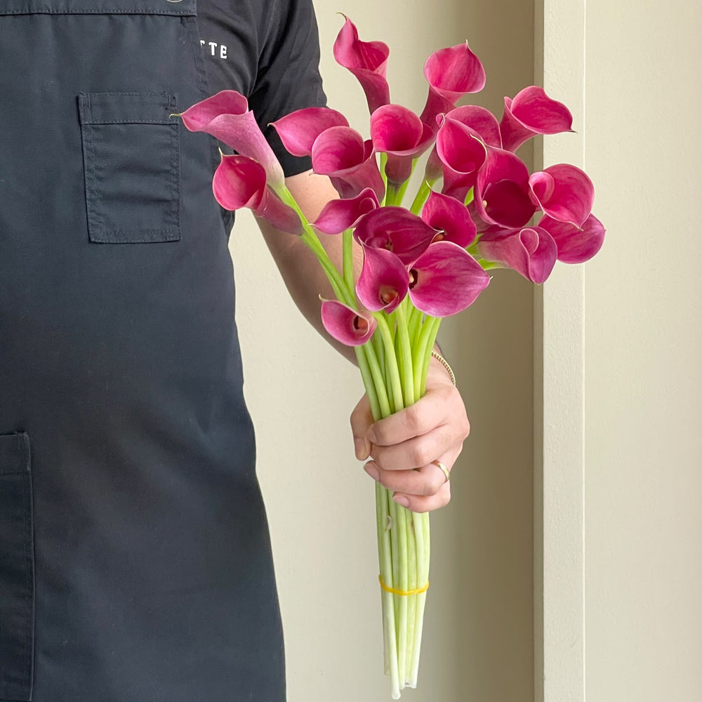 Calla Lilies - Coral Red (Mini)