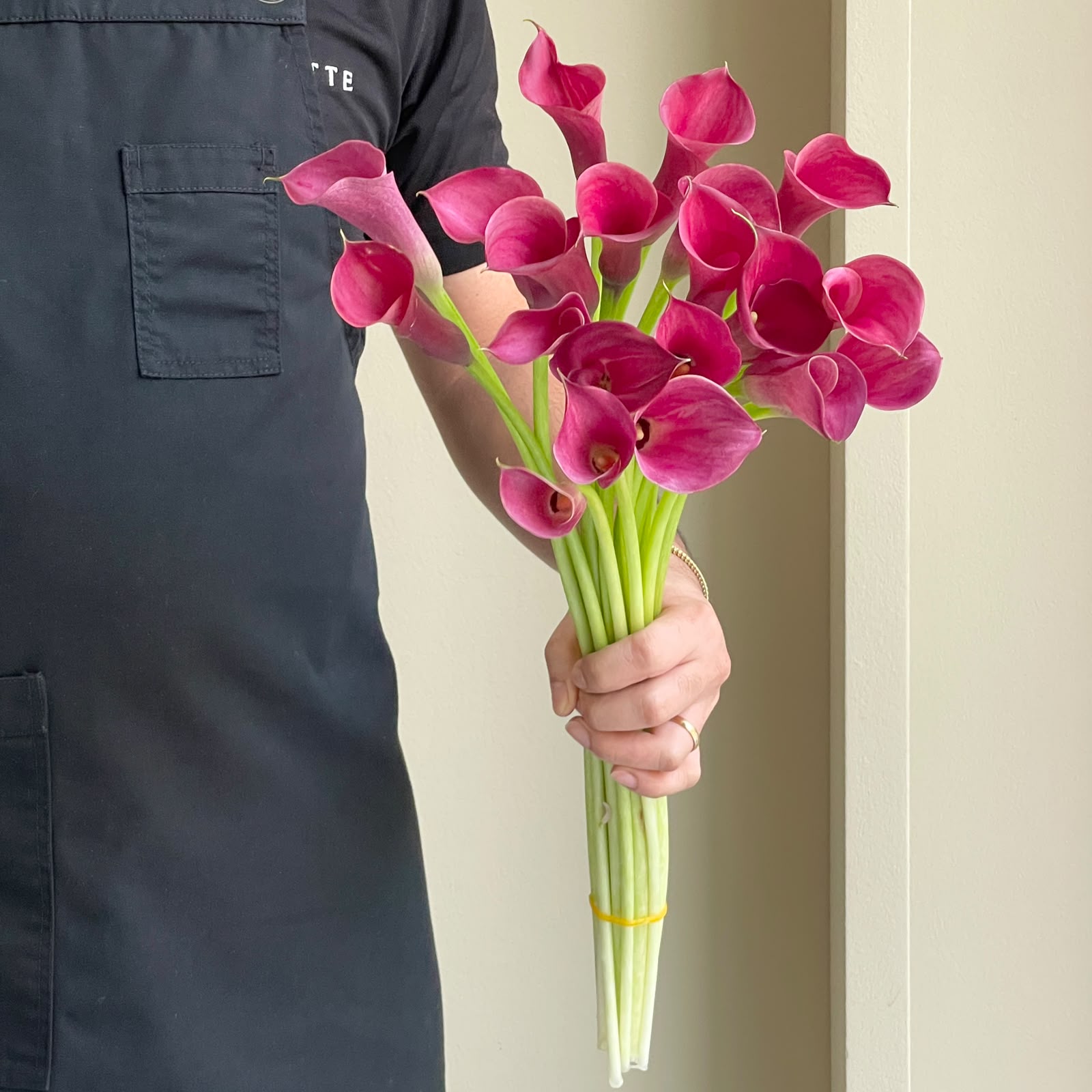 Calla Lilies - Coral Red (Mini)
