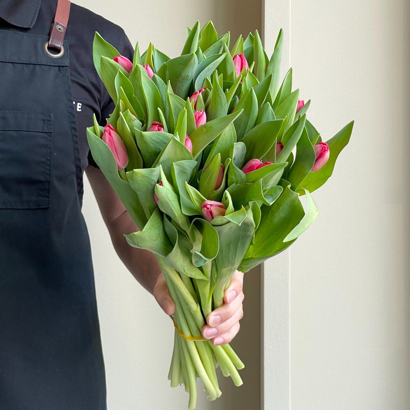 Tulips - Curry Red
