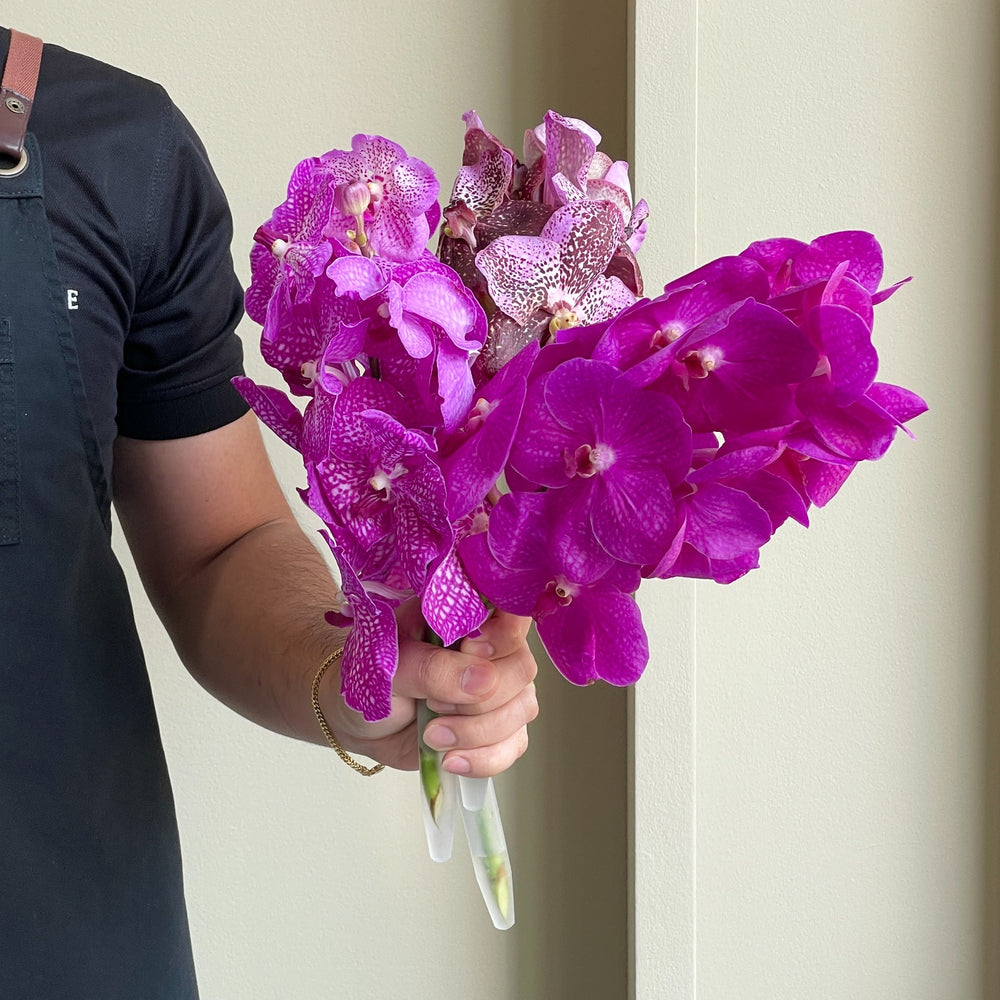 Vanda Orchids - Pink Glitter