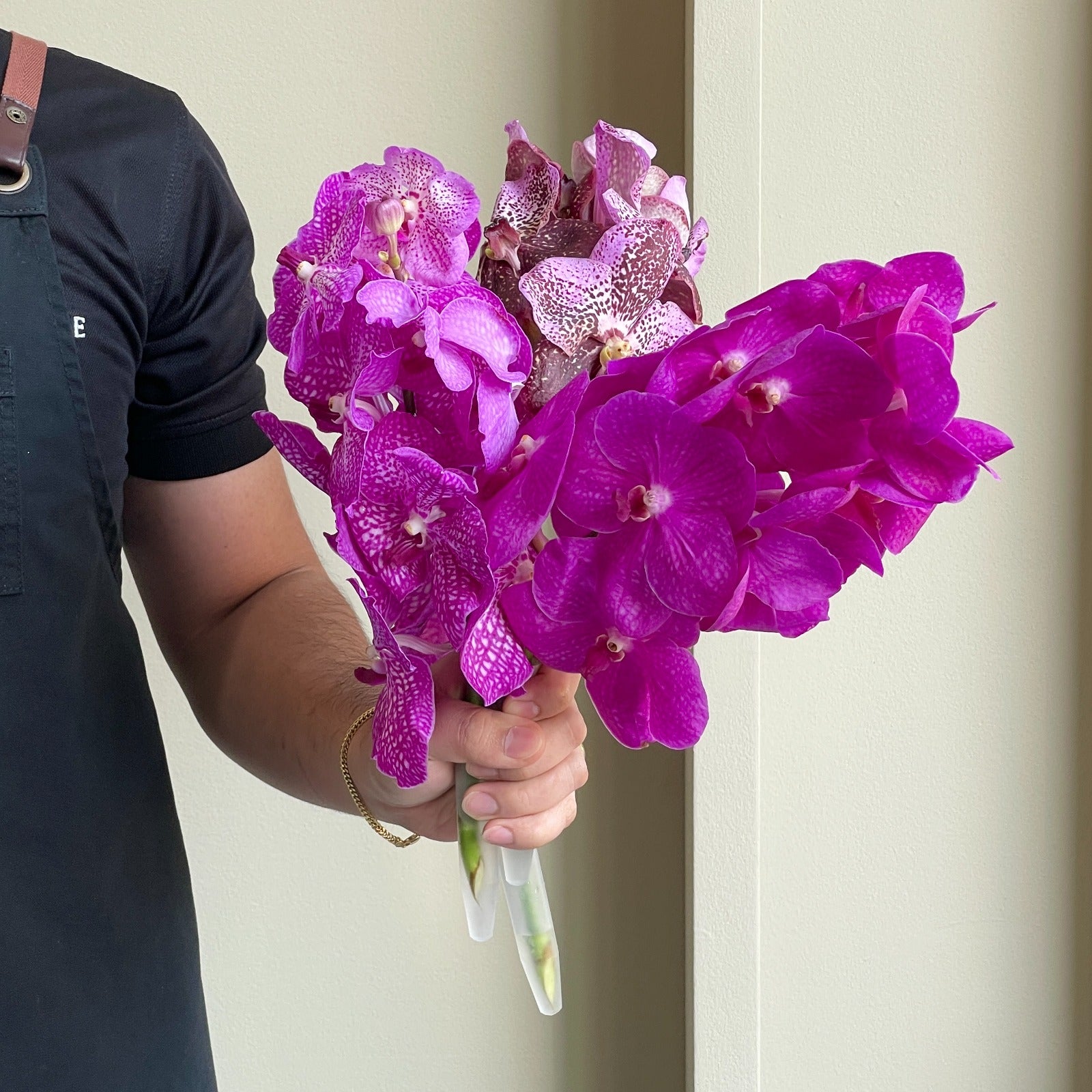 Vanda Orchids - Pink Glitter