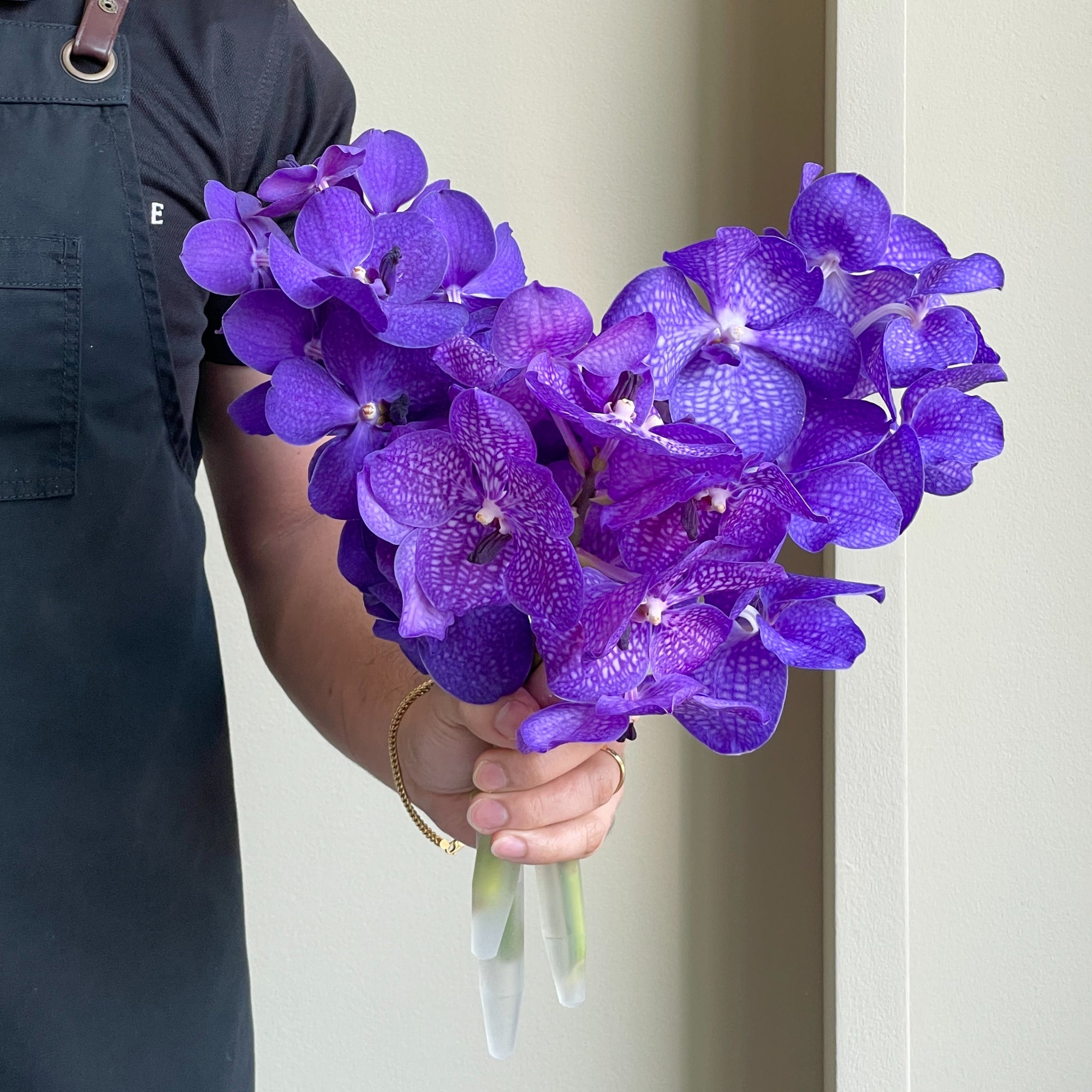 Vanda Orchids - Angelic Blue Mix