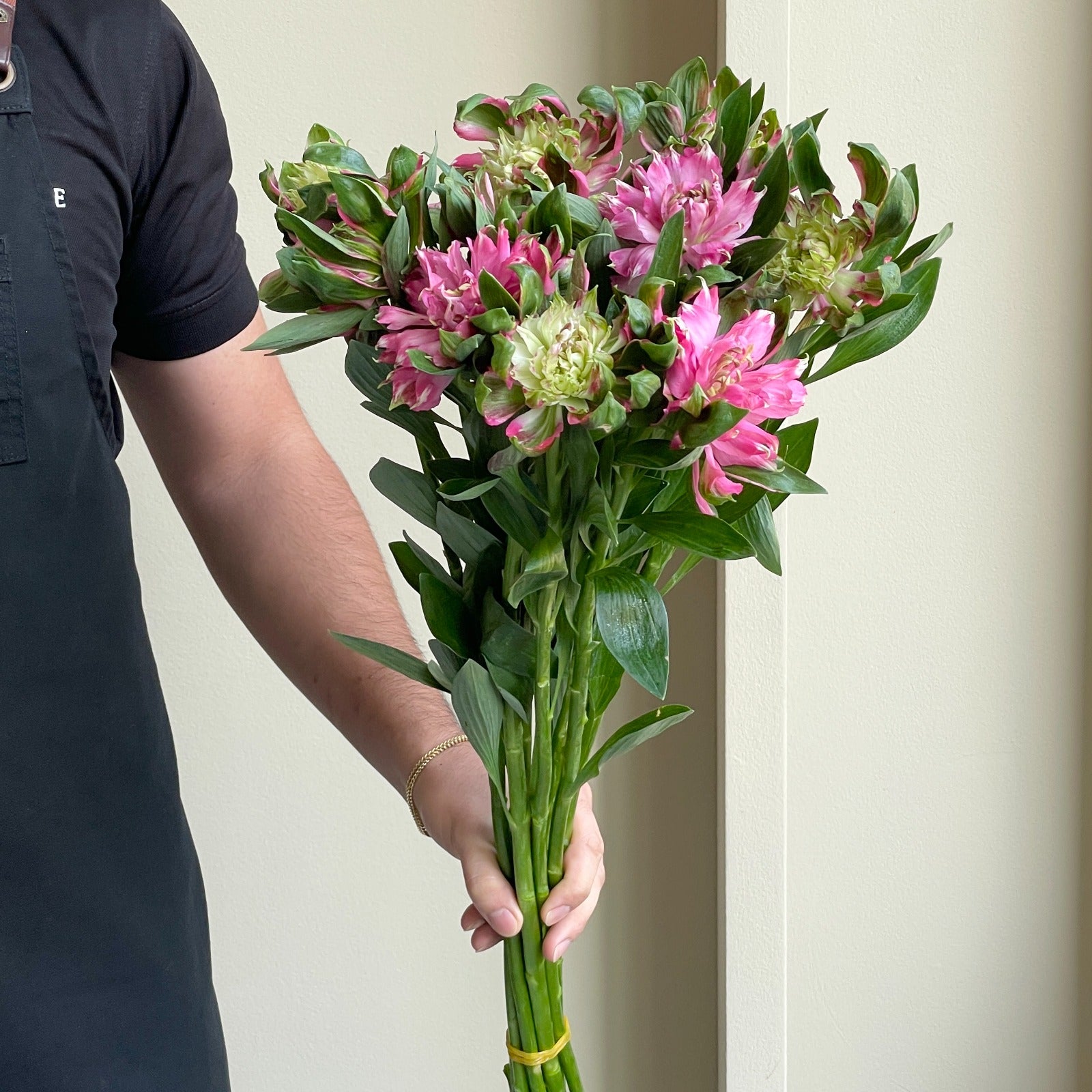 Alstroemerias - Fash Sofiena Pink