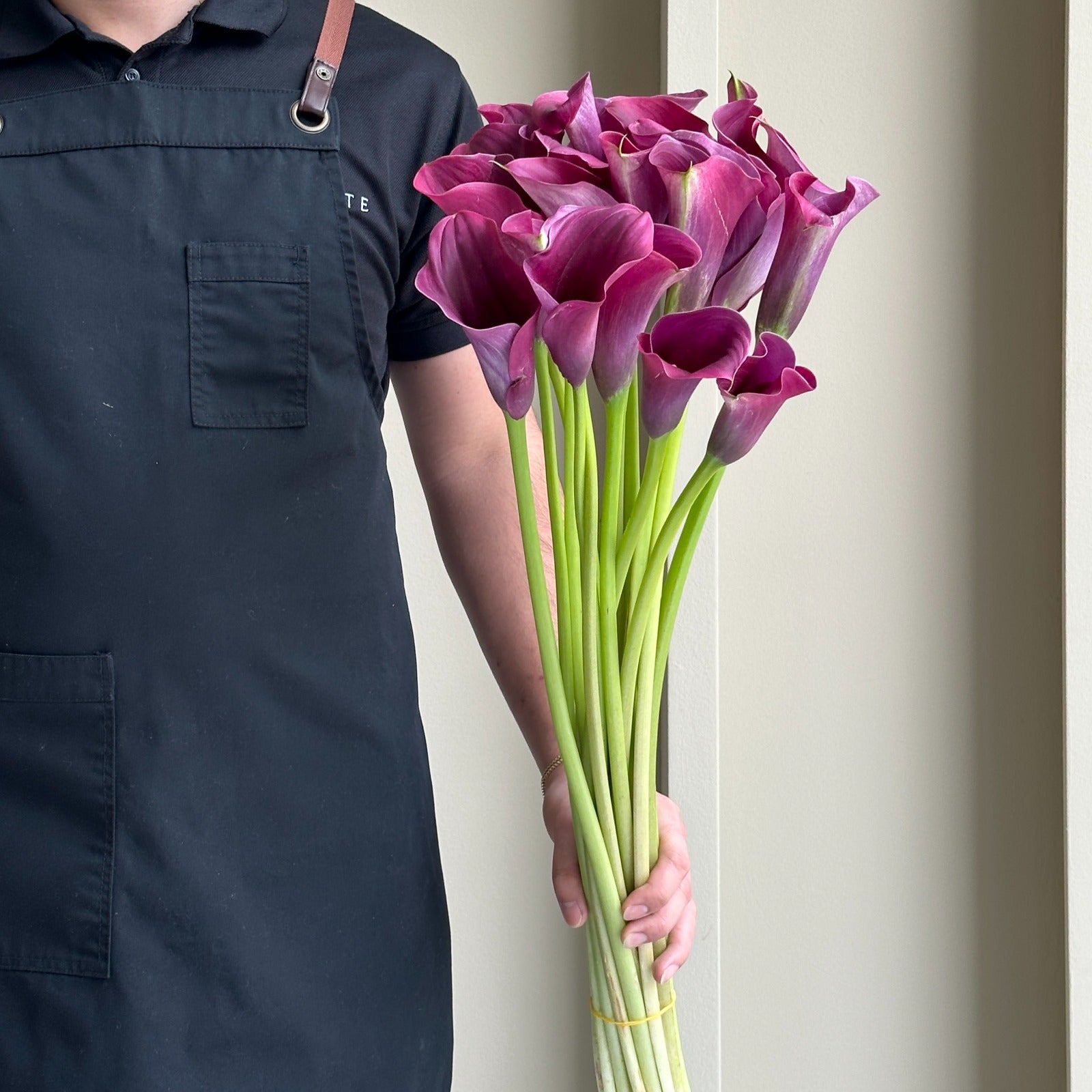 Calla Lilies - Captain Promise Pink