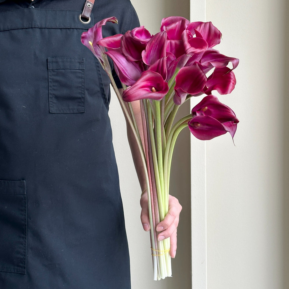 Calla Lilies - Sumatra
