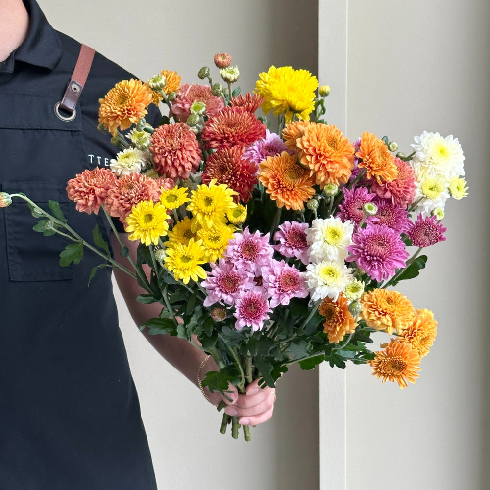 Chrysanthemum - Santini Majestic Mix (15 Stem)