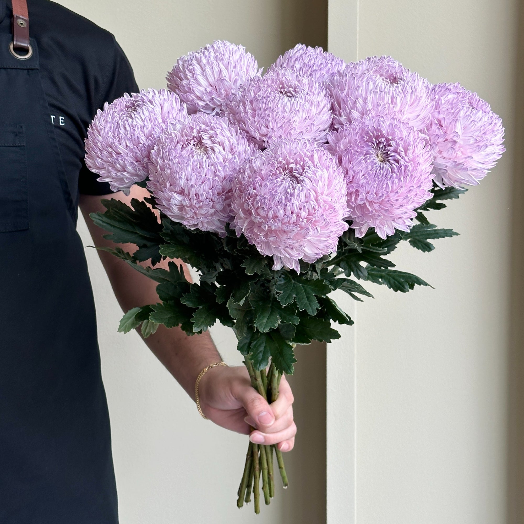 Chrysanthemum Peony - Pastel Purple