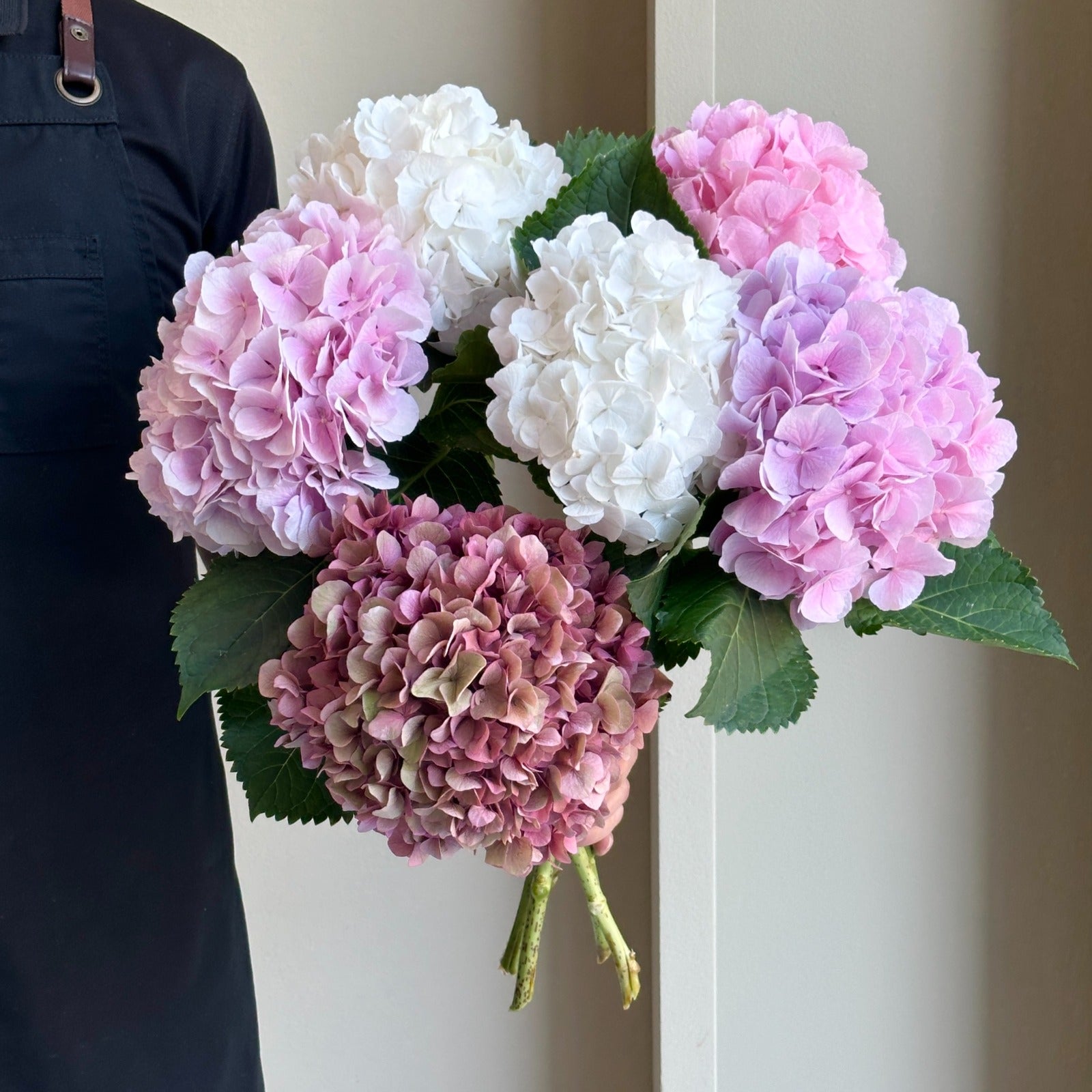Hydrangeas - Pink & White Bliss Mix
