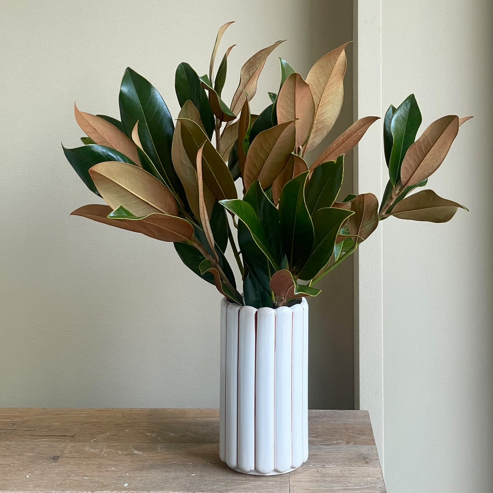 Magnolia Leaves - Cylinder Stripe Vase
