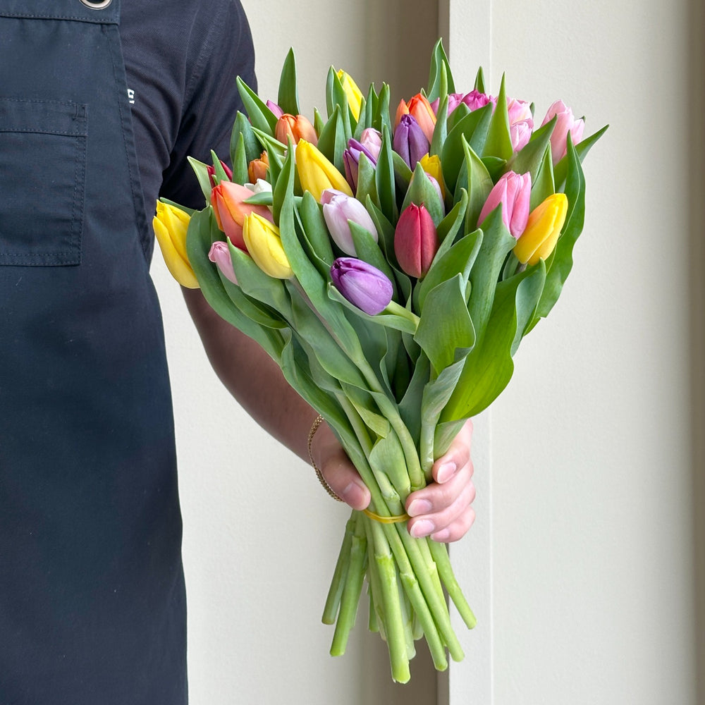 Tulips Mania - Spring Ride Mix
