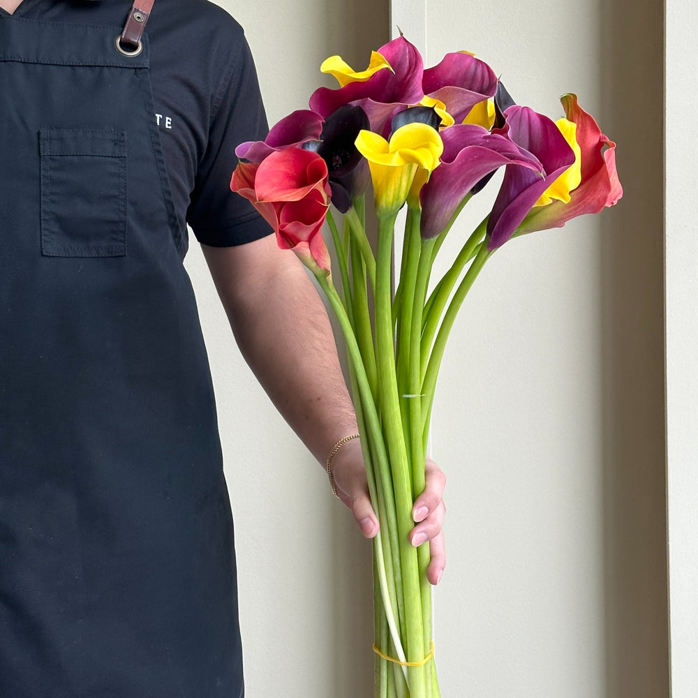 Calla Lilies - Twilight Mix