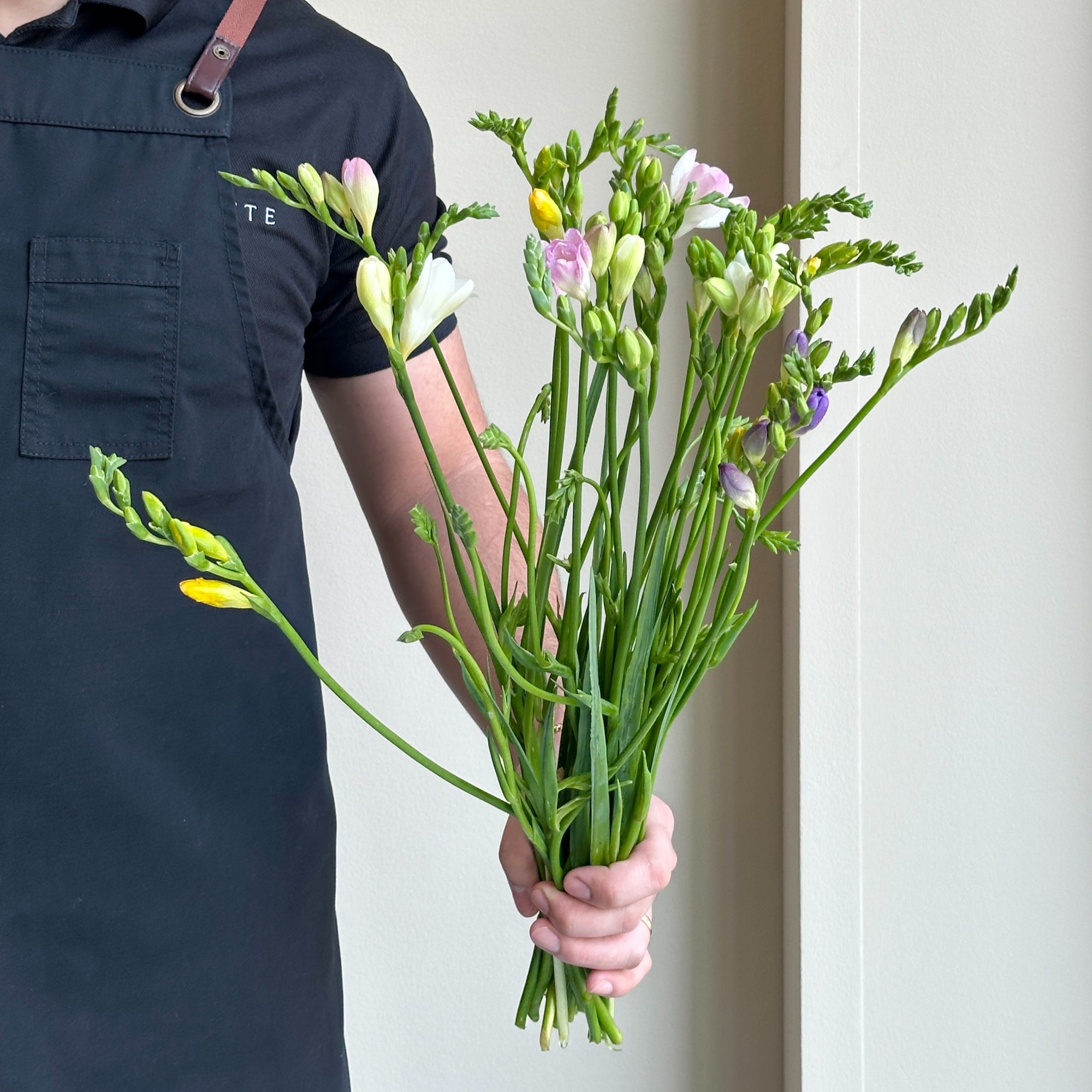 Freesias - Radiance Mix (20 stems)