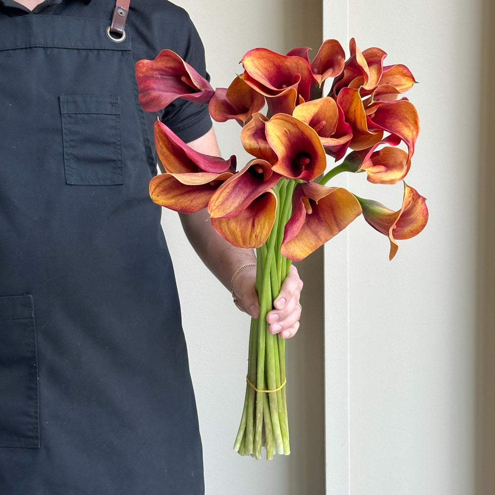 Calla Lilies - Hot Shot