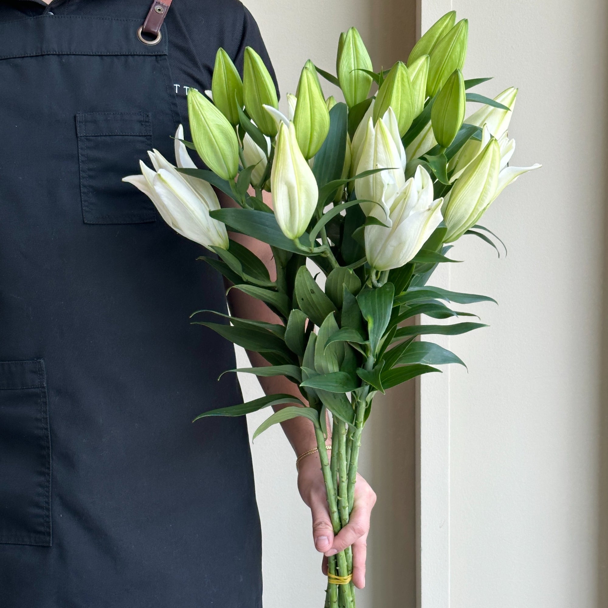 Lilies Oriental - Severn White
