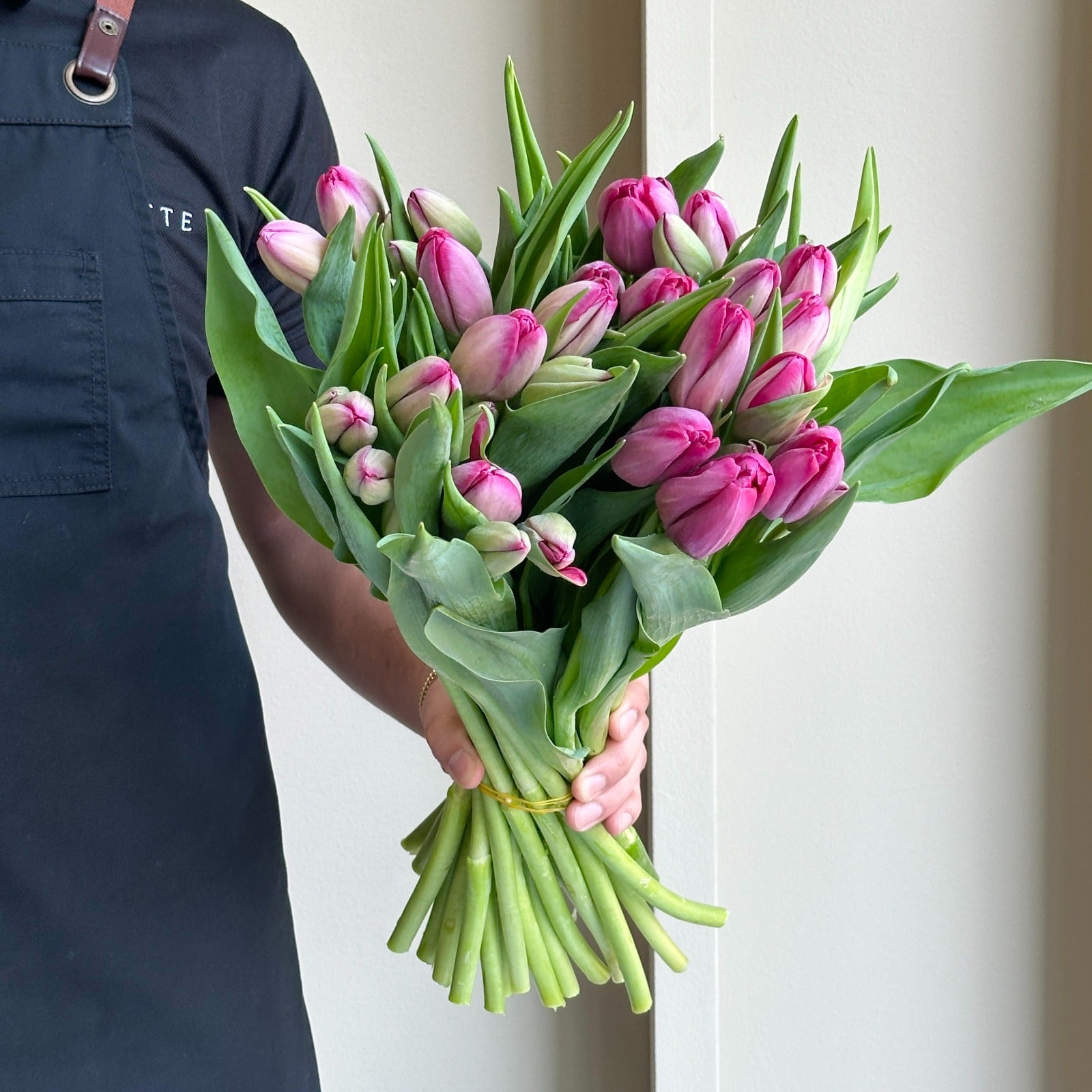 Tulips - Puma Lilac