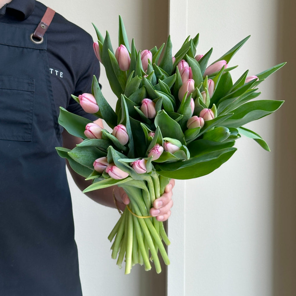 Tulips - Sissi Pink