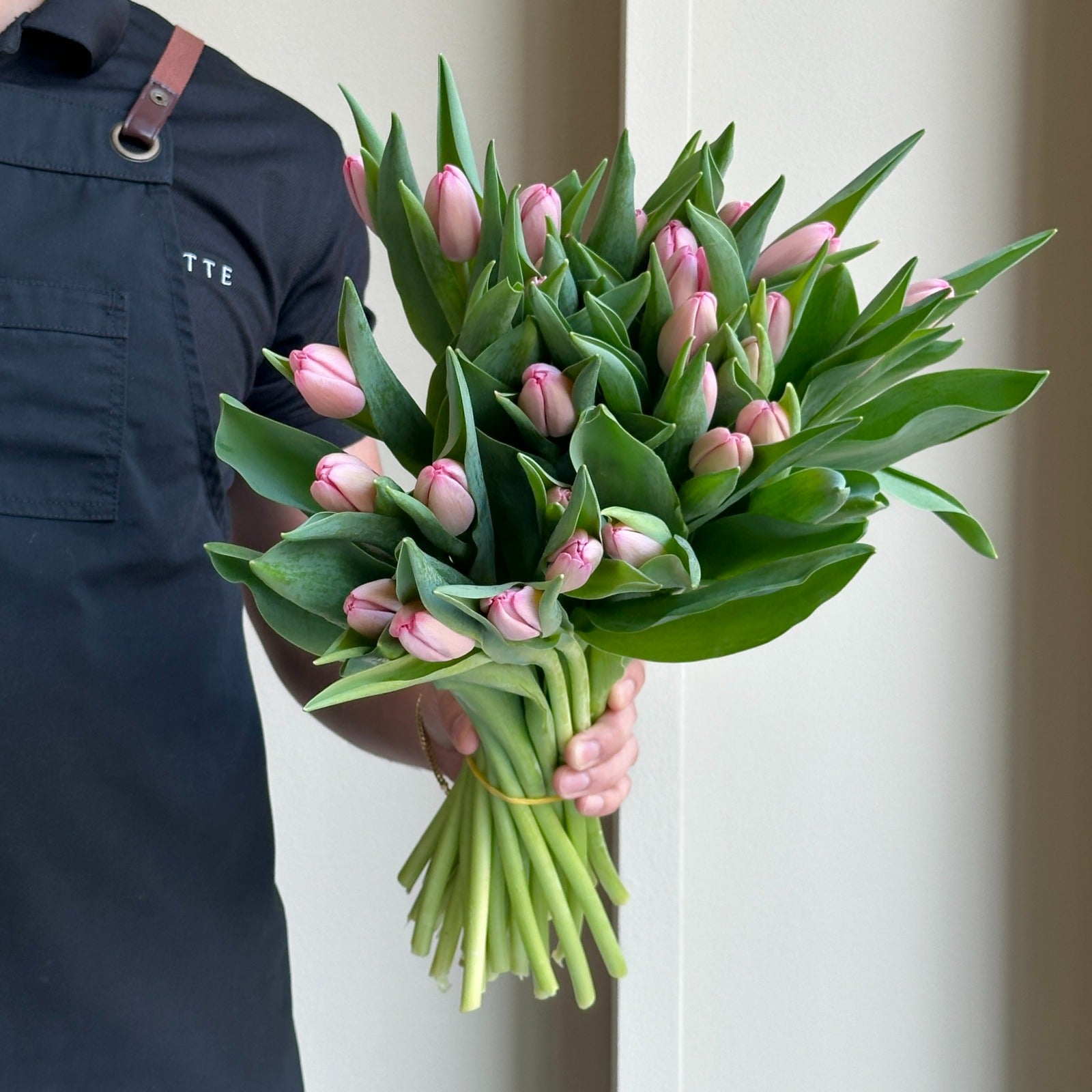 Tulips - Sissi Pink