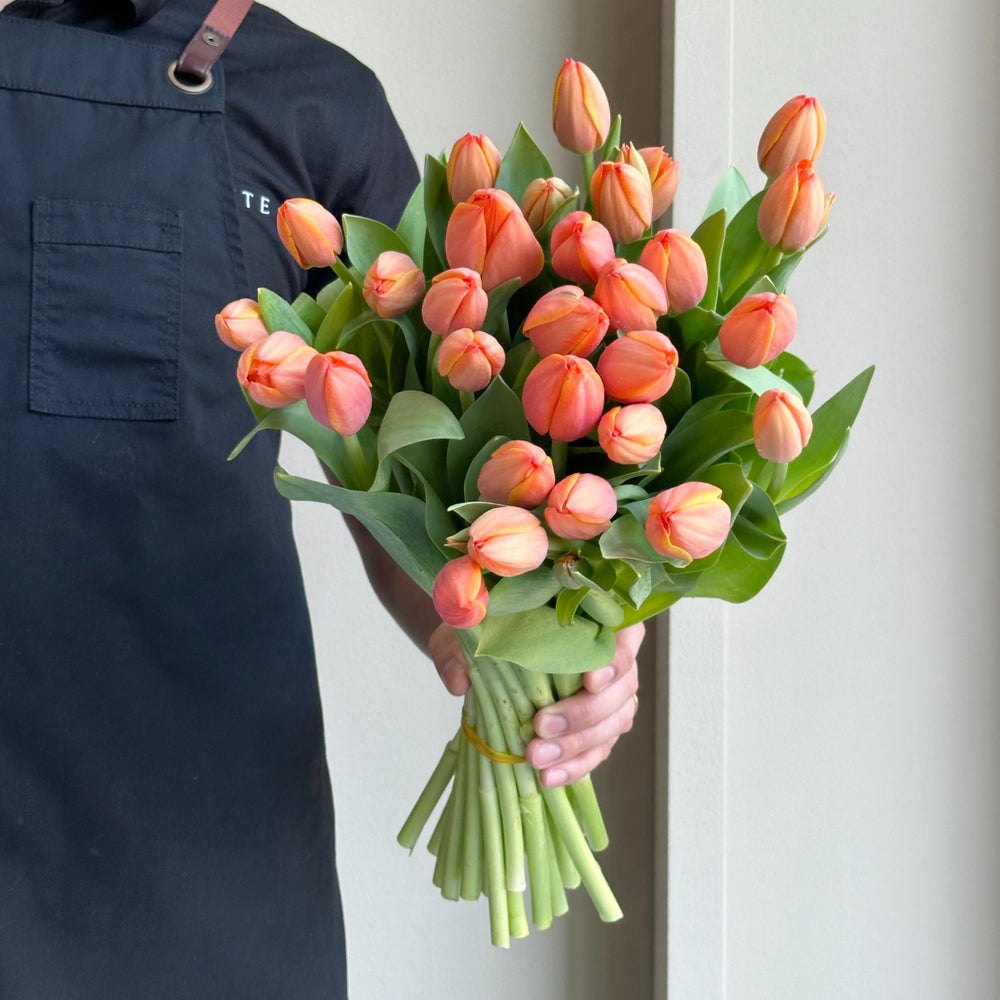 Tulips - Ad Rem Orange