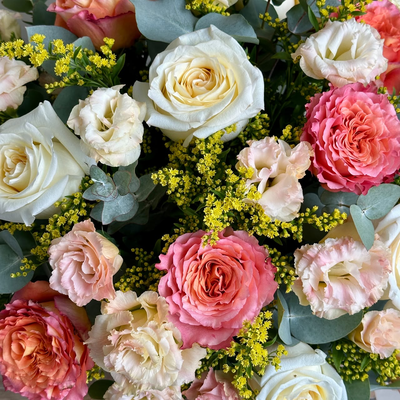 Tahiti - Box Arrangement