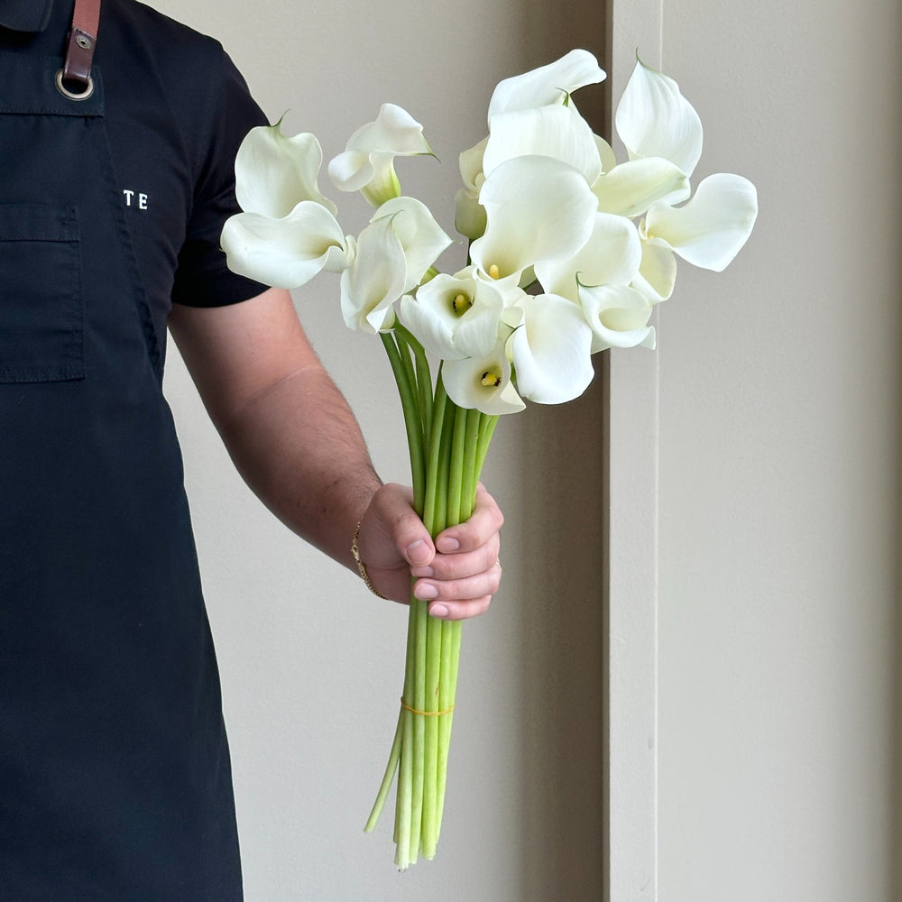 Calla Lilies - Captain Ventura