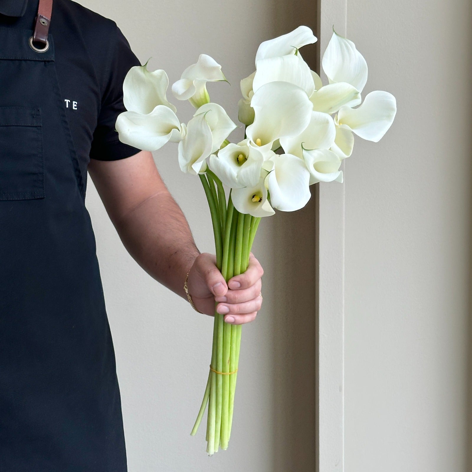 Calla Lilies - Captain Ventura