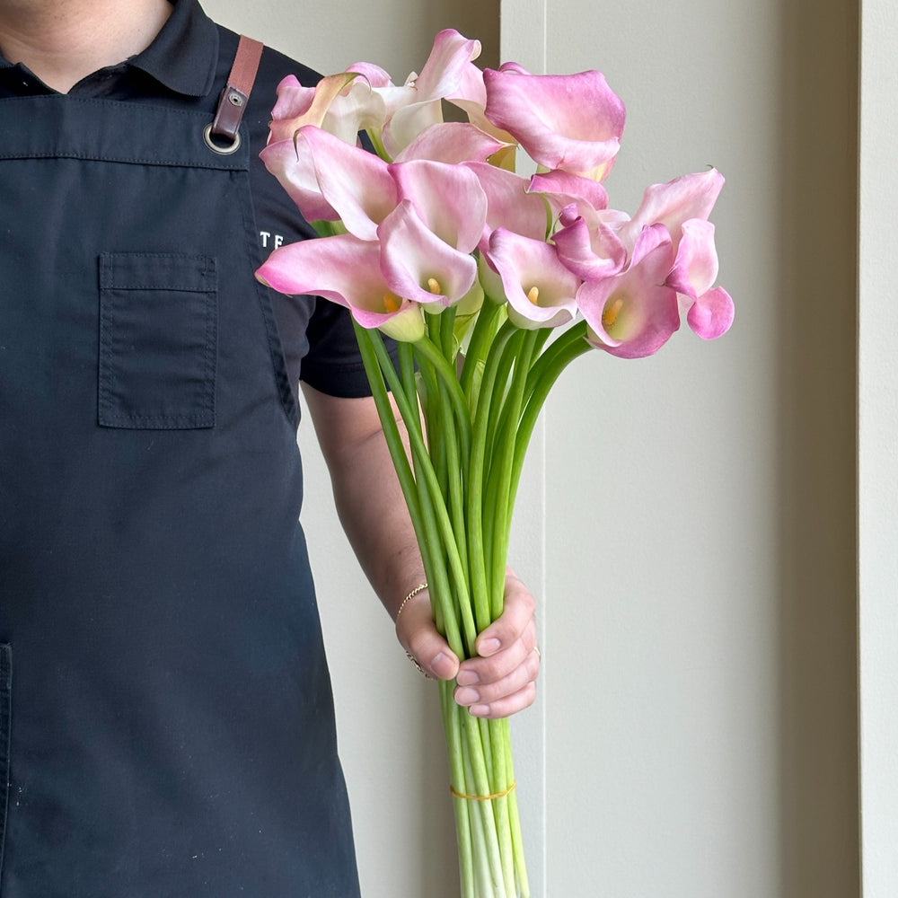 Calla Lilies - Candy Dream Pink