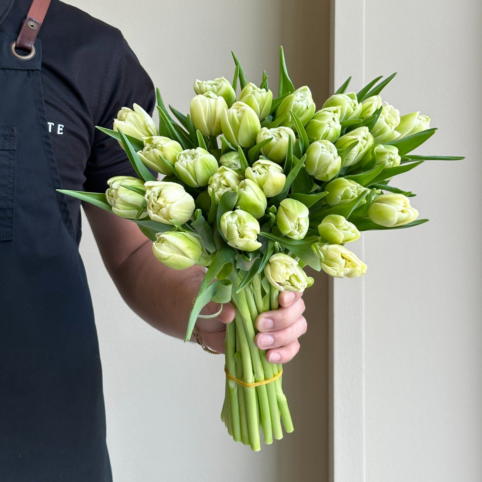 Tulips Double - Avant Garde Creme