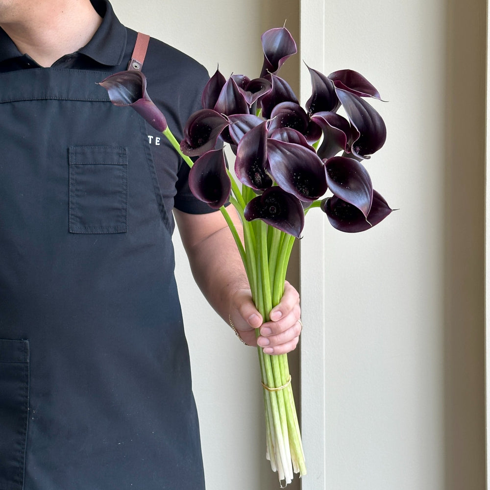 Calla Lilies - Cantor Black