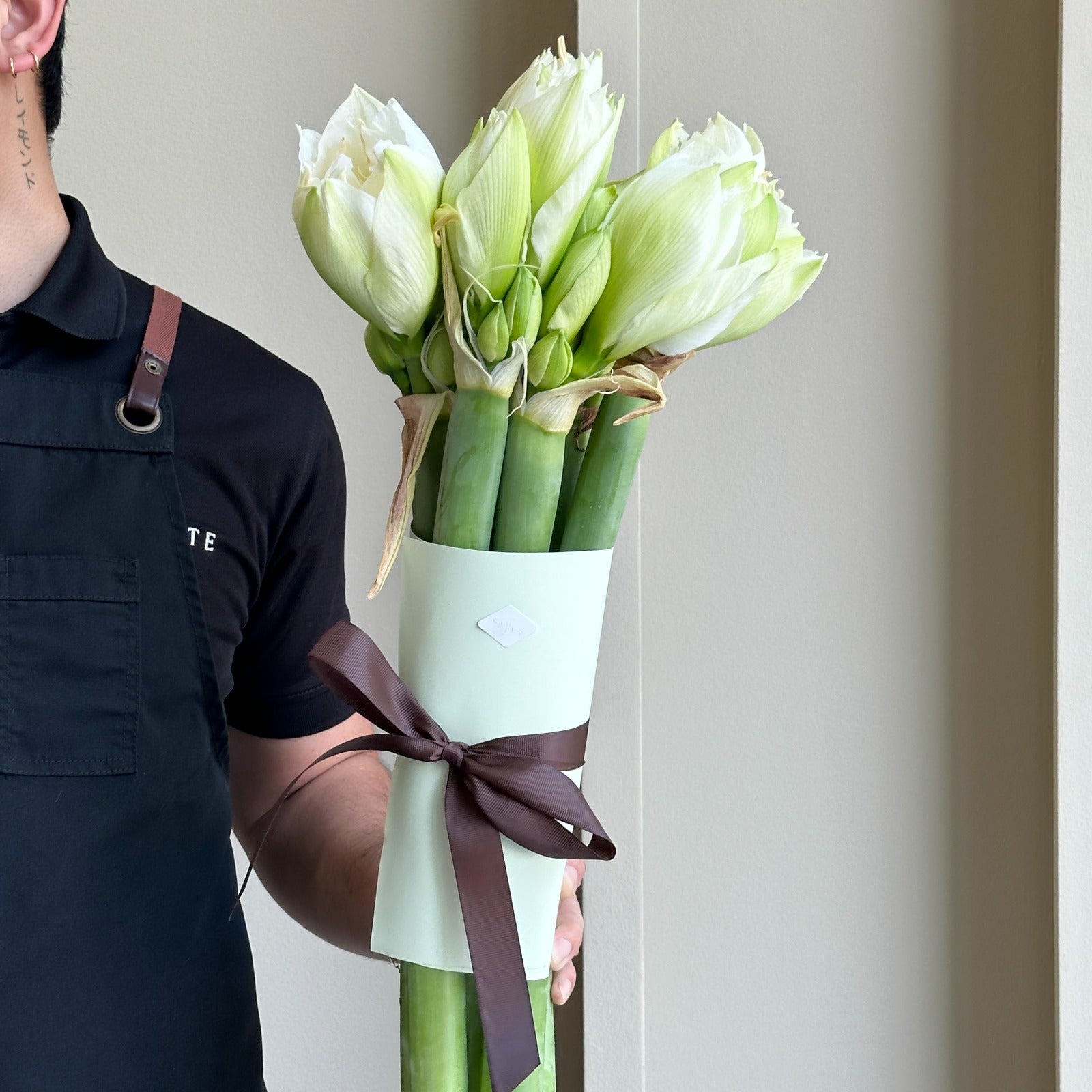 Amaryllis - Wimbledon (6 Stems)