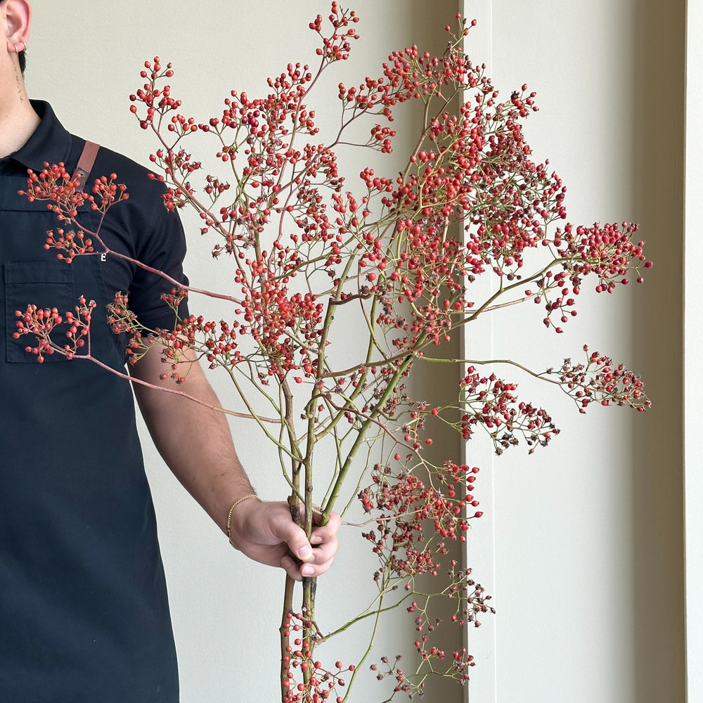 Rosehip - Autumn Rosefruits Tops