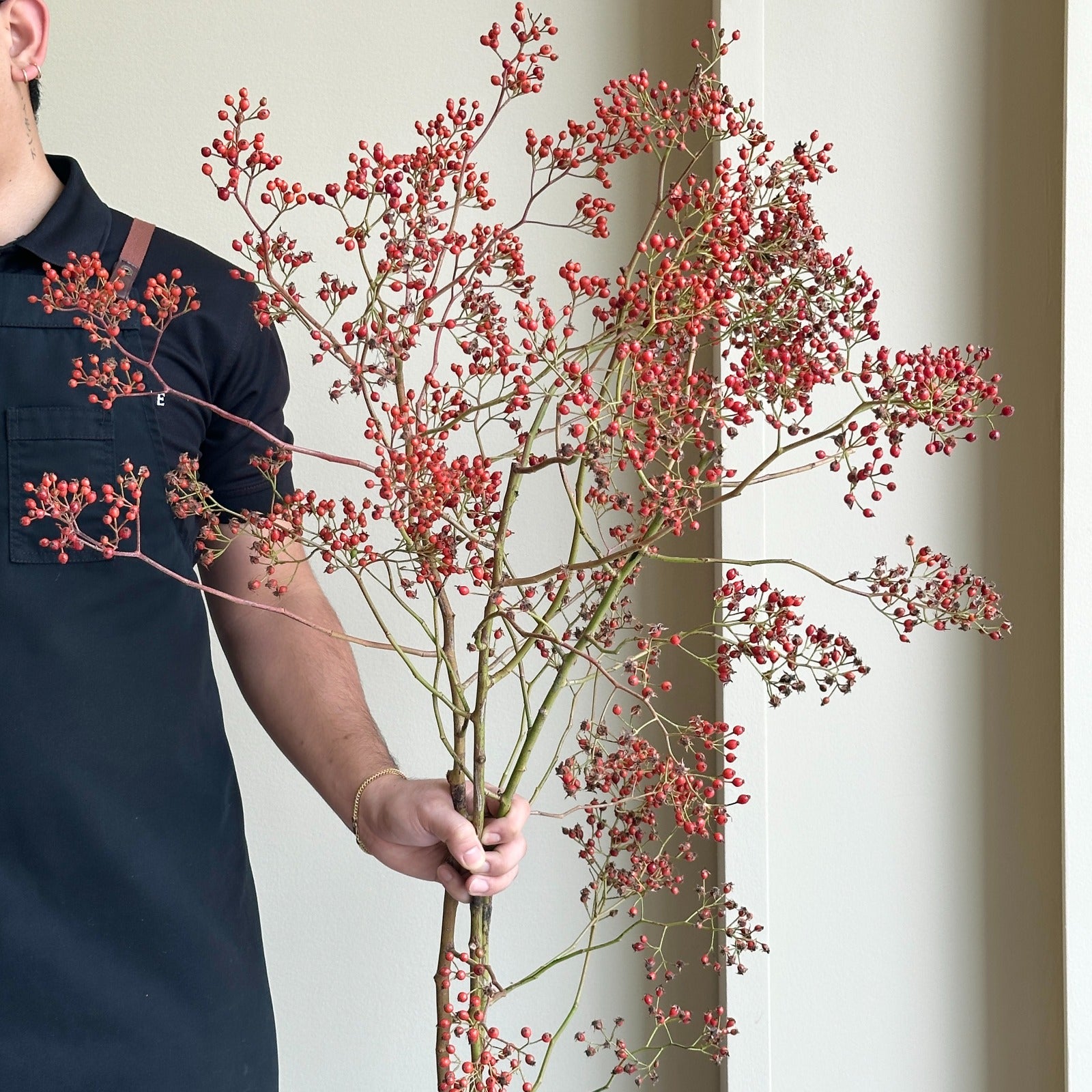Rosehip - Autumn Rosefruits Tops