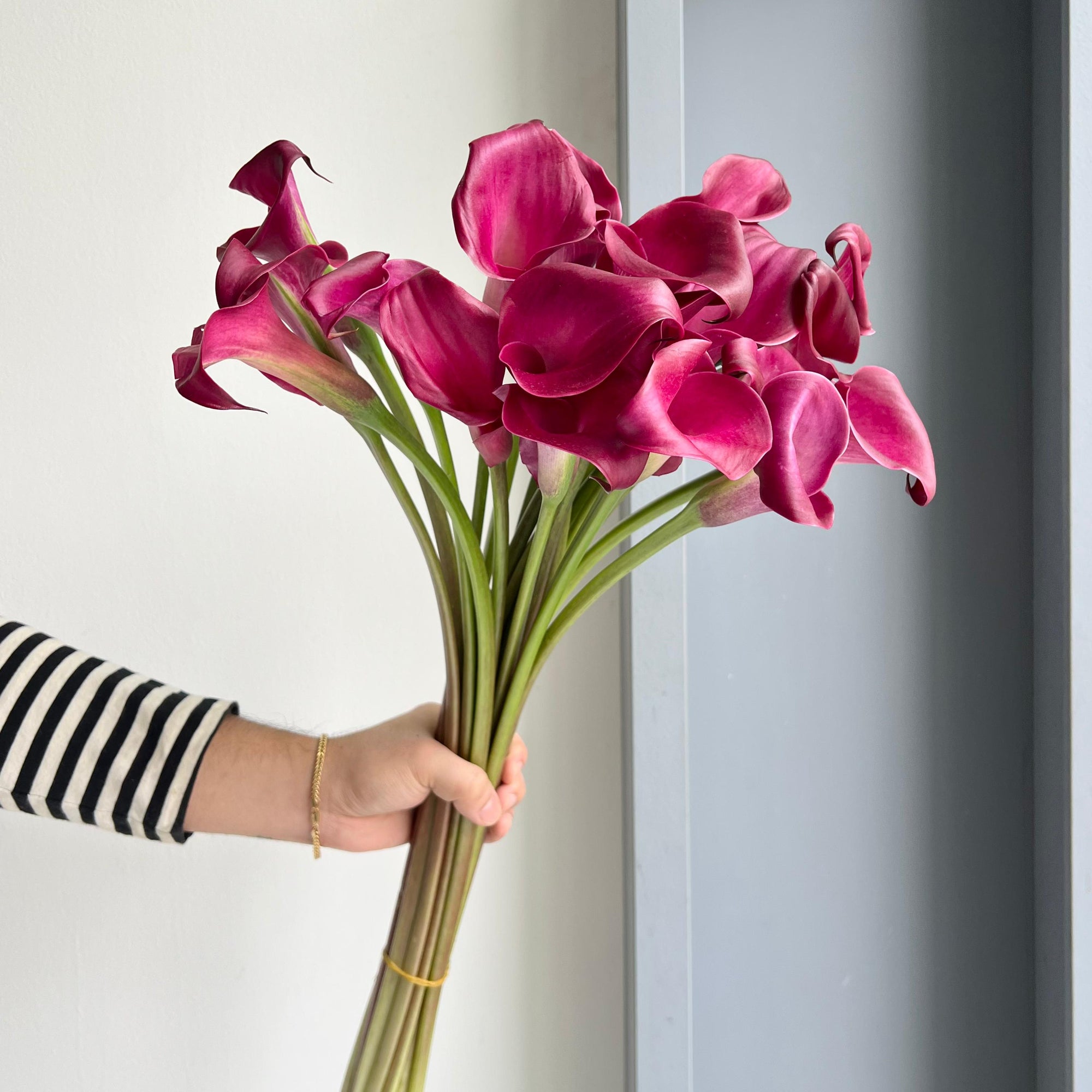 Calla Lilies - Sumatra